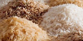 India’s rice exports ban to fuel volatility in global food prices