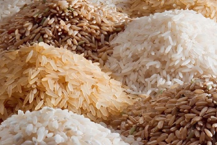 India’s rice exports ban to fuel volatility in global food prices