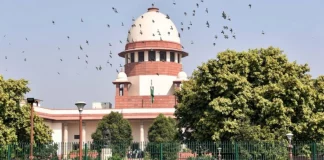 Supreme Court expresses concern on issue related to death of cheetahs