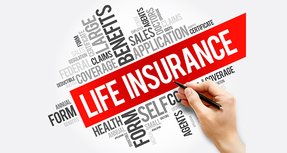 Why is Life Insurance Called Your Safety Net? - IndiaPost NewsPaper