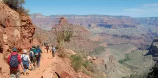 Indian-origin man dies while hiking in Grand Canyon