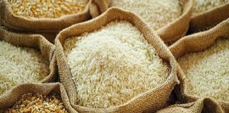 Non-Resident Tamils request Centre to revoke ban on rice imports