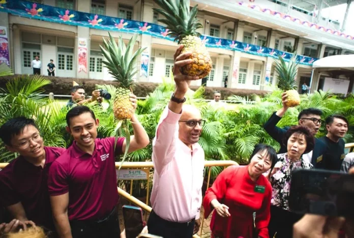 Sales of pineapples soar in Singapore