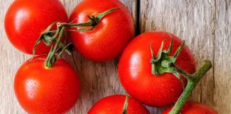 Tomatoes
