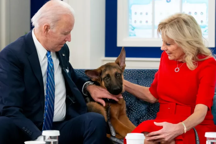 US President Biden's dog 'Commander'