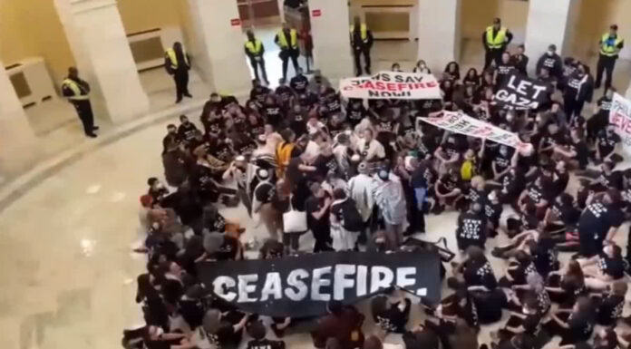 US Capitol police arrests demonstrators gathered urging ceasefire in Gaza