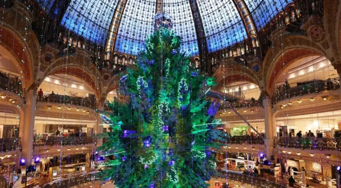 Christmas trees from around the world for 20th year Christmas trees