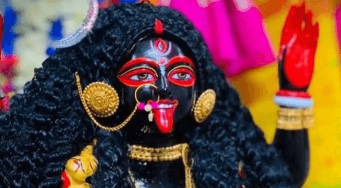 Red hibiscus prices skyrocket ahead of Kali Puja festival in Bengal Kali Puja