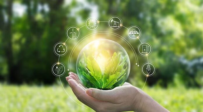 Social Sustainability Issues: The Speed Breakers on the Path of a Green Future Social Sustainability Issues