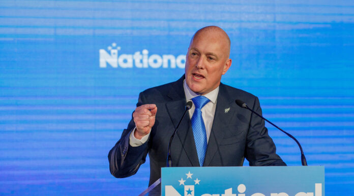 New Zealand PM makes first official speech of 2024 New Zealand