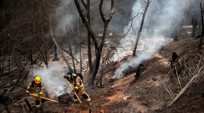 Death toll in Chile wildfires rises to 99 Chile wildfires