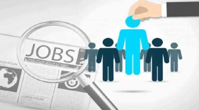 India sees 3 pc monthly rise in hiring, white-collar gig jobs up 184 pc India