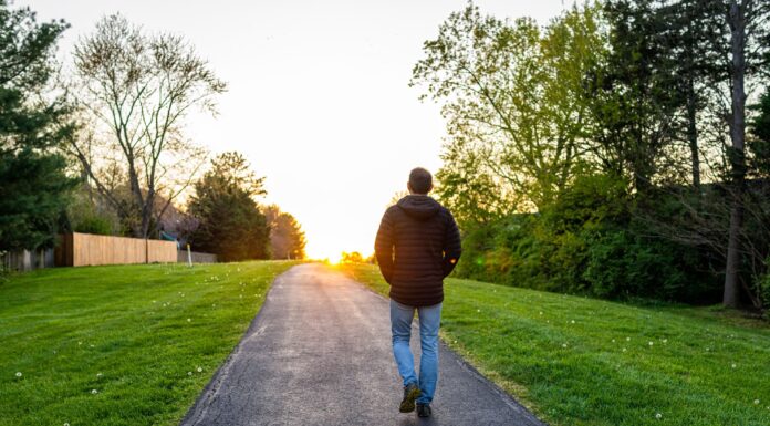 Spending quality time in nature may lower heart disease, diabetes risk: Study Nature