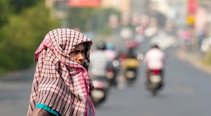 Severe heatwave red alert for states of Punjab, Haryana and Chandigarh: IMD Heatwave