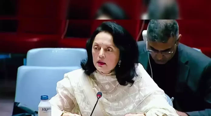 UN Summit of the Future