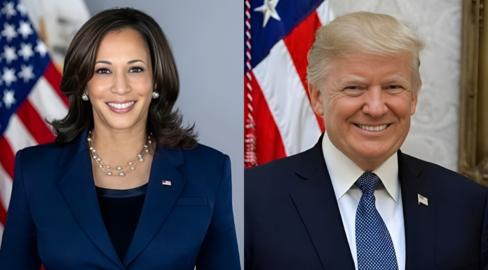 Making Sense of the Conventions and the 2024 Elections 2024 Elections