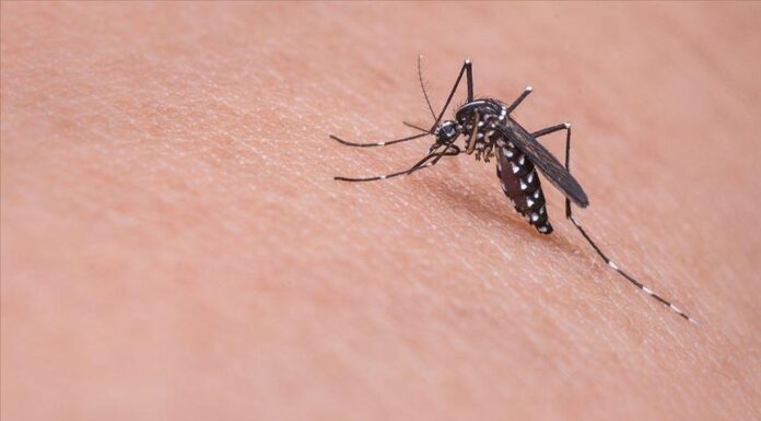 Israeli West Nile Virus Cases Rise to 710 West Nile Virus
