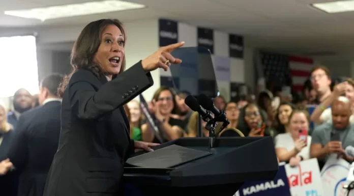 “I know Donald Trump’s type”: Kamala Harris offers a preview of the campaign to come Kamala Harris