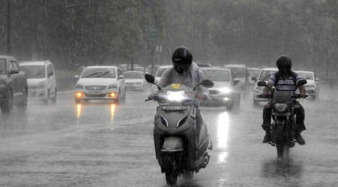 Delhi: Light showers bring relief from humid weather Humid