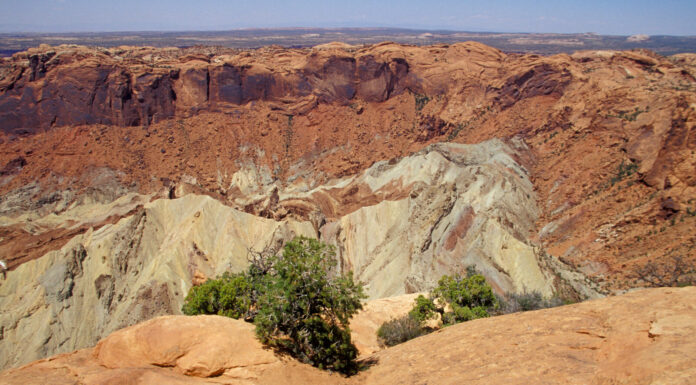 Two hikers found dead in US national park amid high temperatures US