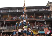 Dahi Handi