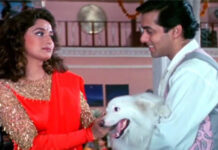 Hum Aapke Hain Koun