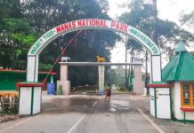 Manas National Park