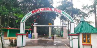 Manas National Park