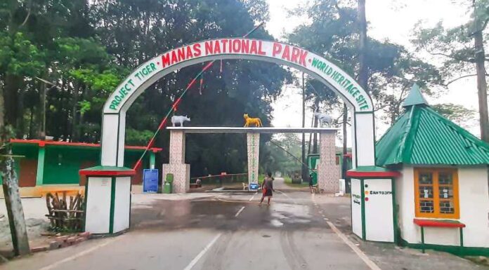 Manas National Park