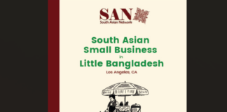 South Asian Network