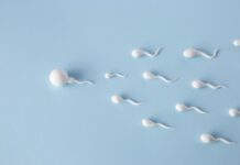 Sperm Quality