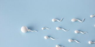 Sperm Quality