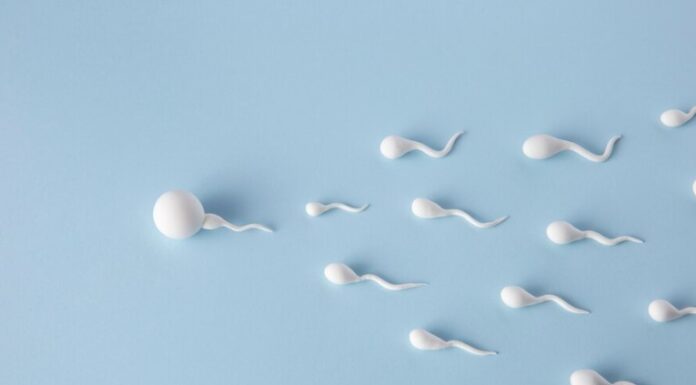 Sperm Quality