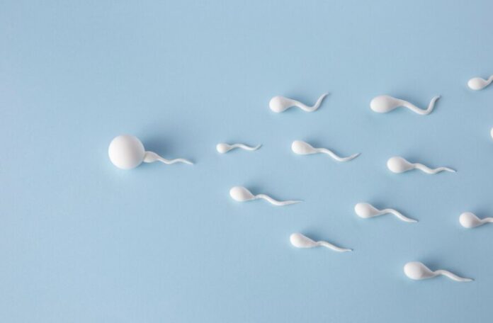 Sperm Quality