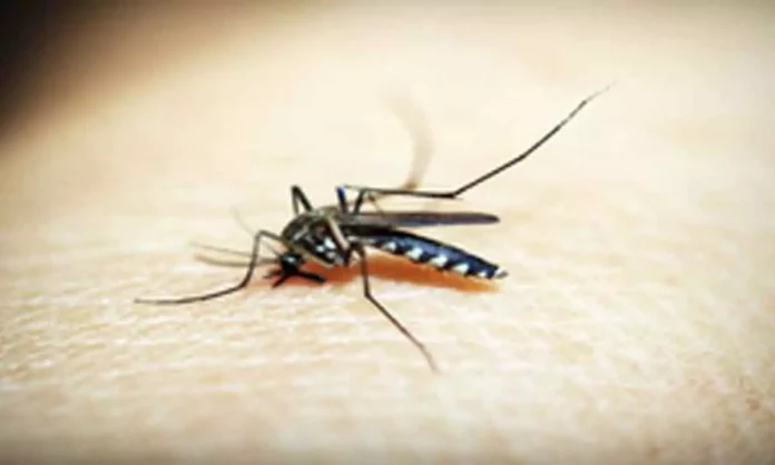 malaria