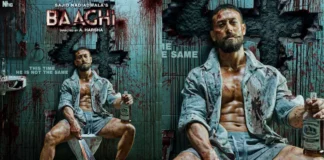 Baaghi 4