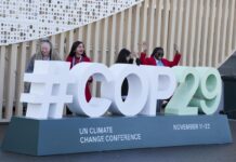 COP29