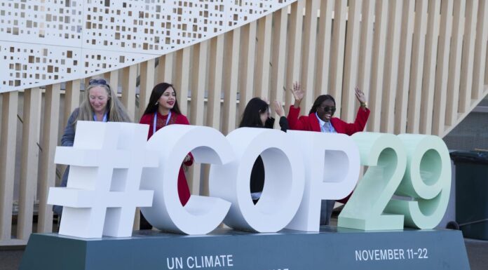 COP29