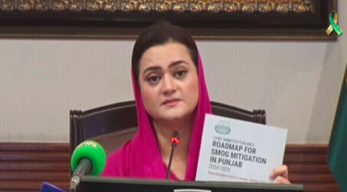 Marriyum Aurangzeb