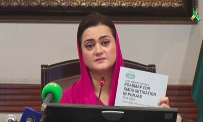 Marriyum Aurangzeb