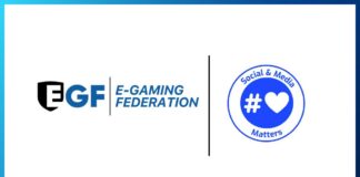 E-Gaming Federation