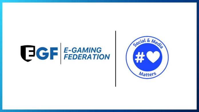 E-Gaming Federation