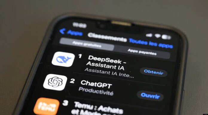 DeepSeek AI