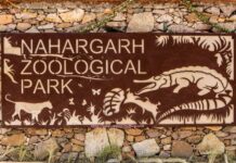 Nahargarh Biological Park