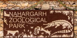 Nahargarh Biological Park