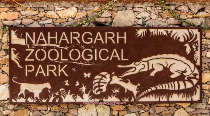 Nahargarh Biological Park