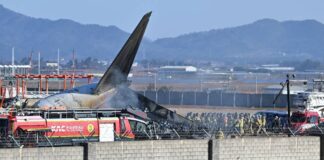 Jeju Air Plane Crash