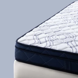 Kurlons Spine Therapy Foam Mattress