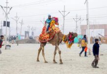 Maha Kumbh