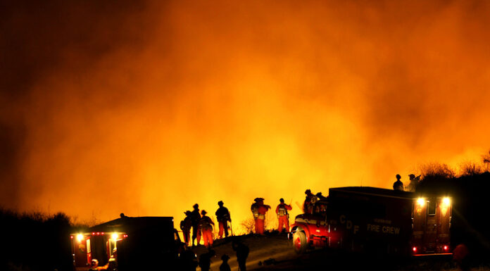 Wildfire